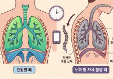하나의 콘텐츠 → 5개 채널 확장, 브랜드가 달라졌습니다